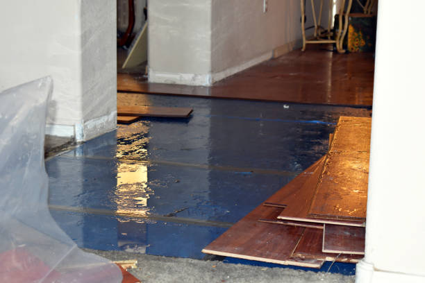 Professional Flood Cleanup technician working in Traverse City, MI